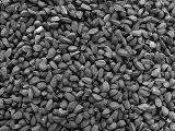 Černucha setá (semínko) TRS, 100g