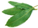 Indický bobkový list TRS, 25g